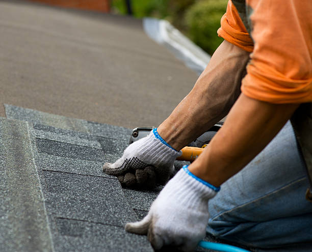 Quick and Trustworthy Emergency Roof Repair Services in Lake Lorraine, FL